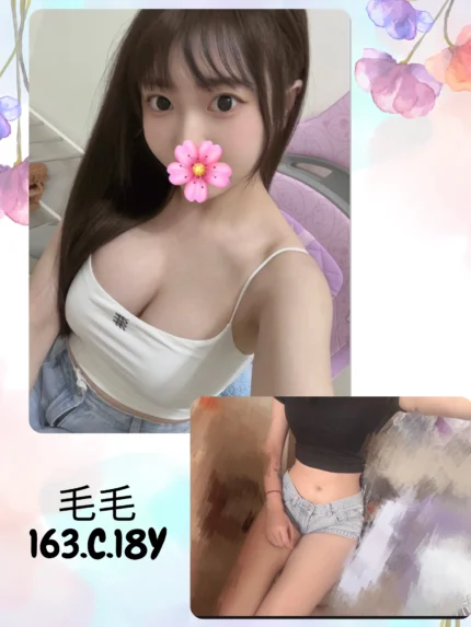 台北外送茶-毛毛/163/?/18/C