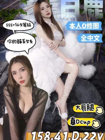 台南定點茶-白鹿/158/41/22/D