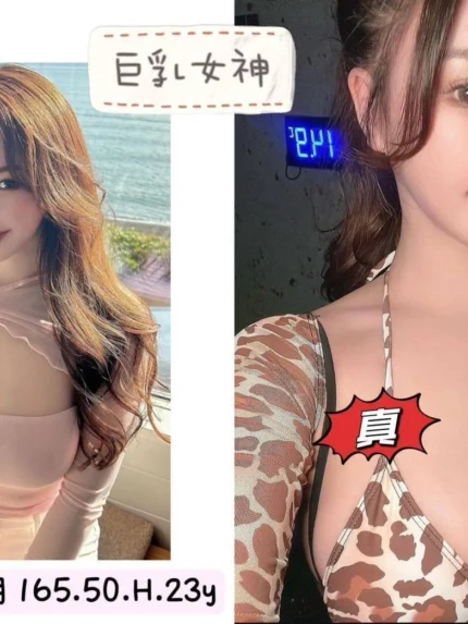 台北外送茶-一月/165/50/23/H