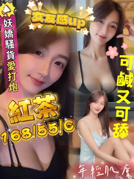 屏東定點茶-紅茶/168/55/?/C