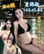 台東定點茶-夏萌萌/153/43/?/E