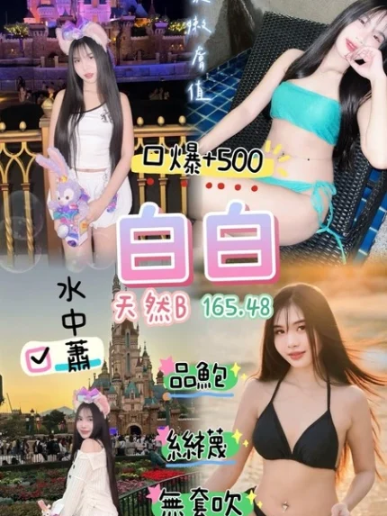 桃園定點茶-白白/165/48/25/B