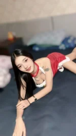 新北定點茶-嘻嘻/167/47/21/B