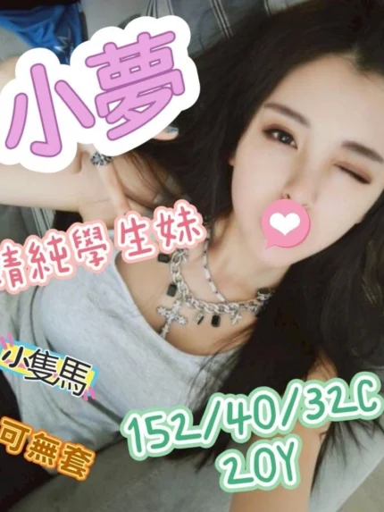 嘉義外送茶-小夢/152/40/20/C