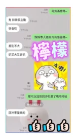 屏東定點茶-檸檬/160/48/?/F