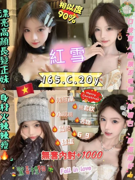 台北定點茶-紅雪/165/48/20/C