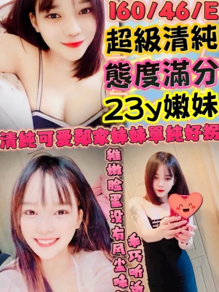 新竹定點茶-小茉莉/160/46/23/E