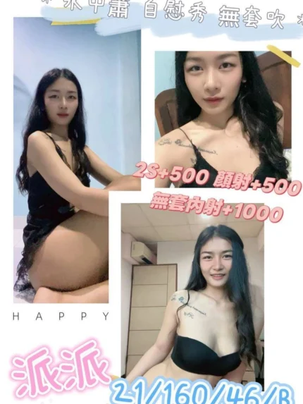 澎湖定點茶-派派/160/46/21/B