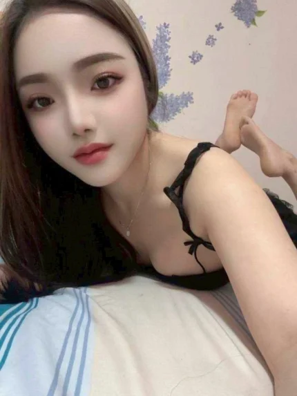 新竹定點茶-采穎/152/42/25/C