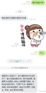 新竹定點茶-海豚/151/43/?/D