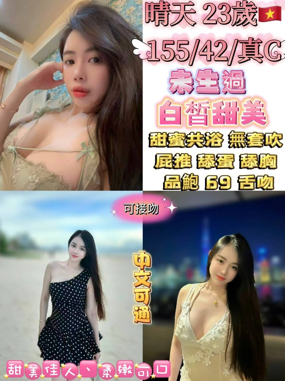 台北定點茶-晴天/155/42/23/D 台北定點茶-晴天/155/42/23/D