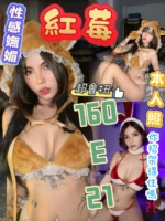 台北定點茶-紅莓/160/?/21/E