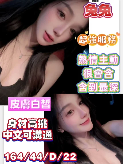 台南定點茶-兔兔/164/44/22/D