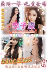 桃園定點茶-李子柒/165/45/22/D