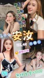 桃園定點茶-安汝/155/49/22/C