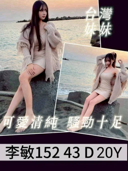 桃園外送茶-李敏/152/43/20/D