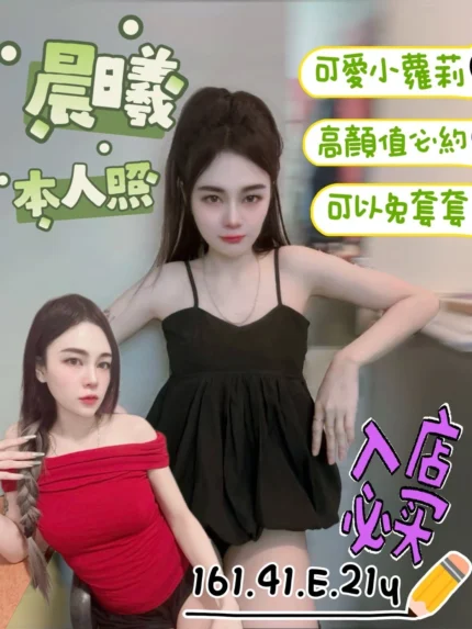 台南定點茶-晨曦/161/41/21/E