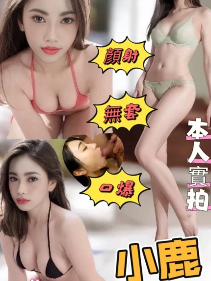 台南定點茶-小鹿/160/46/25/D