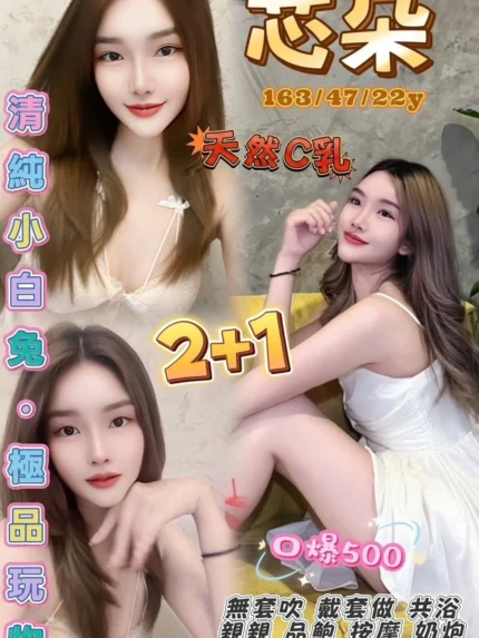 桃園定點茶-芯朵/163/47/22/C