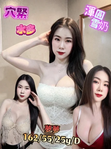 台南定點茶-夢夢/162/55/25/D