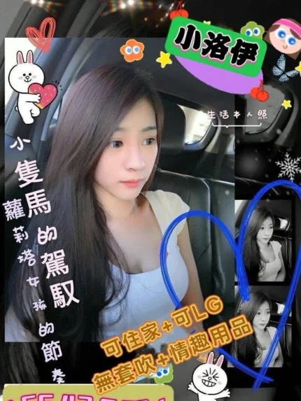 高雄外送茶-小洛伊/155/43/22/C