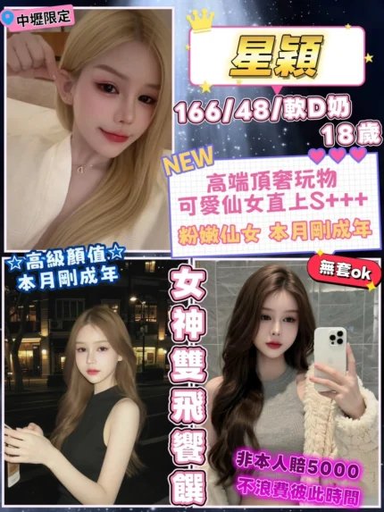 桃園定點茶-星穎/166/48/18/D