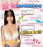 新竹定點茶-愛妃/160/50/23/D