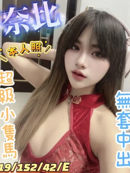 彰化定點茶-奈比/152/42/19/E