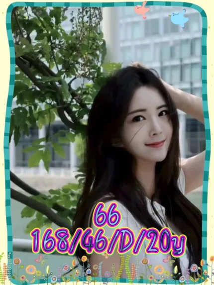 台中外送茶-66/168/46/20/D