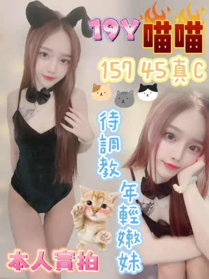 台中定點茶-喵喵/155/42/19/C