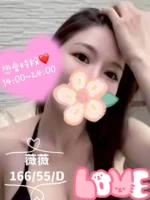 苗栗定點茶-薇薇/166/55/?/D