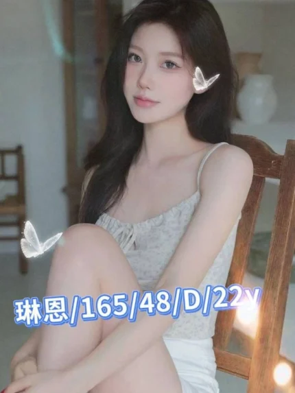 台南外送茶-琳恩/165/48/22/D