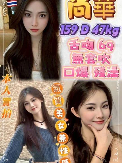 新北定點茶-尚華/159/47/22/D