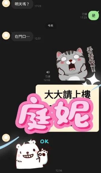 桃園定點茶-庭妮/155/43/22/E