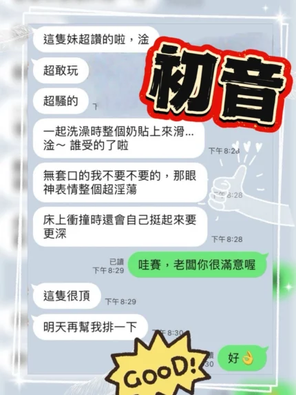 台中定點茶-初音/162/43/?/C