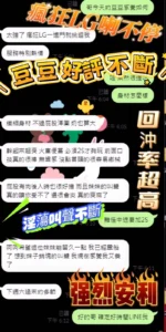 台中定點茶-豆豆/158/46/?/E