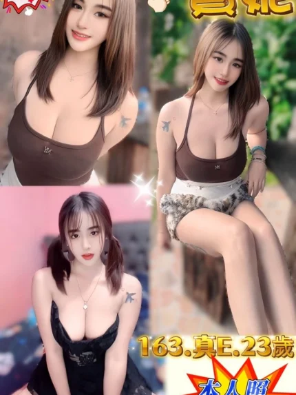 新北定點茶-寶妮/163/52/23/E