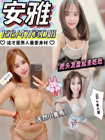 嘉義定點茶-安雅/156/47/?/D