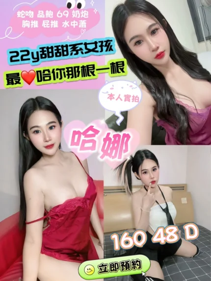 新北定點茶-哈娜/160/48/22/D