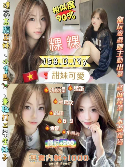 新北定點茶-粿粿/158/48/19/D