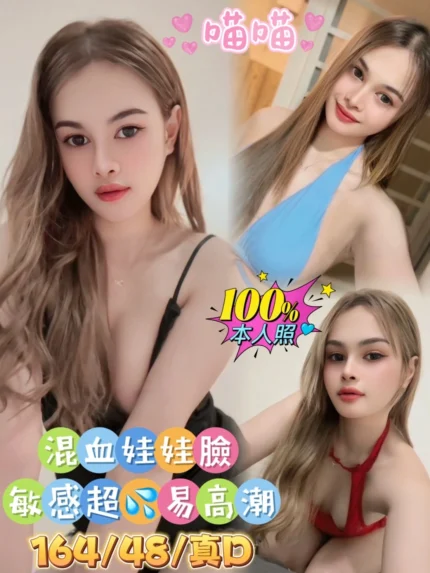 嘉義定點茶-喵喵/164/48/22/D