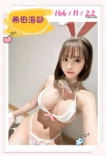 台北外送茶-希田海砂/166/?/22/H