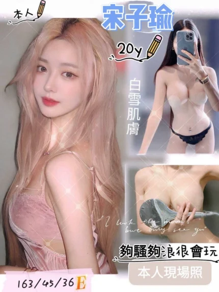 台南定點茶-宋子瑜/163/45/20/E