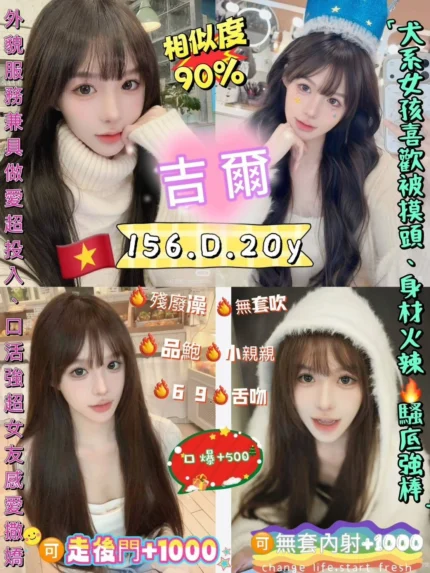 新北定點茶-吉爾/156/45/20/D