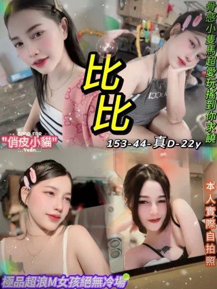 台北定點茶-比比/153/44/22/D