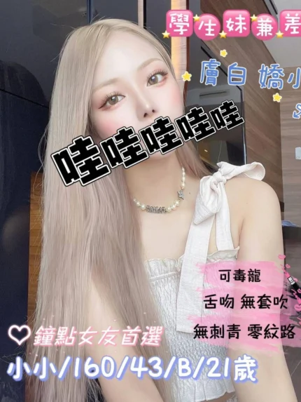 桃園外送茶-小小/160/43/21/B