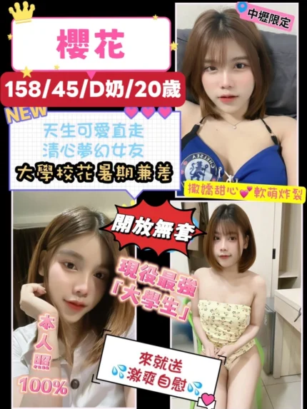 桃園定點茶-櫻花/158/45/20/D