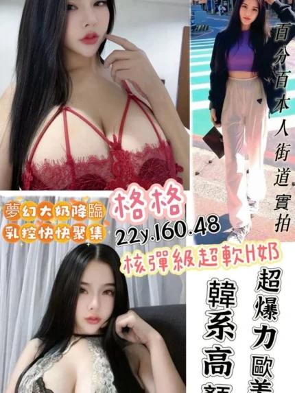 桃園定點茶-格格/160/48/22/H