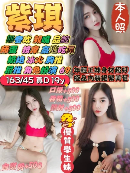 桃園定點茶-紫琪/163/45/19/D