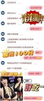 台南定點茶-淫淫/160/45/20/E